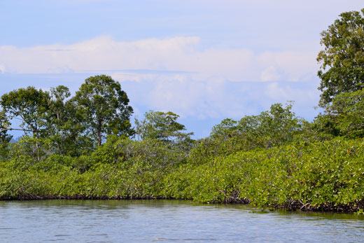 Panamá