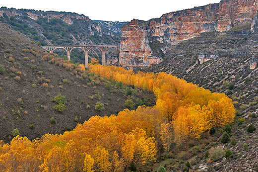 España