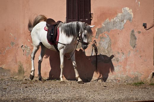 Marruecos