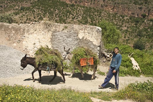 Marruecos